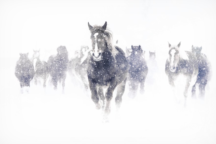 t-961-edit-1-edit-1-1-1