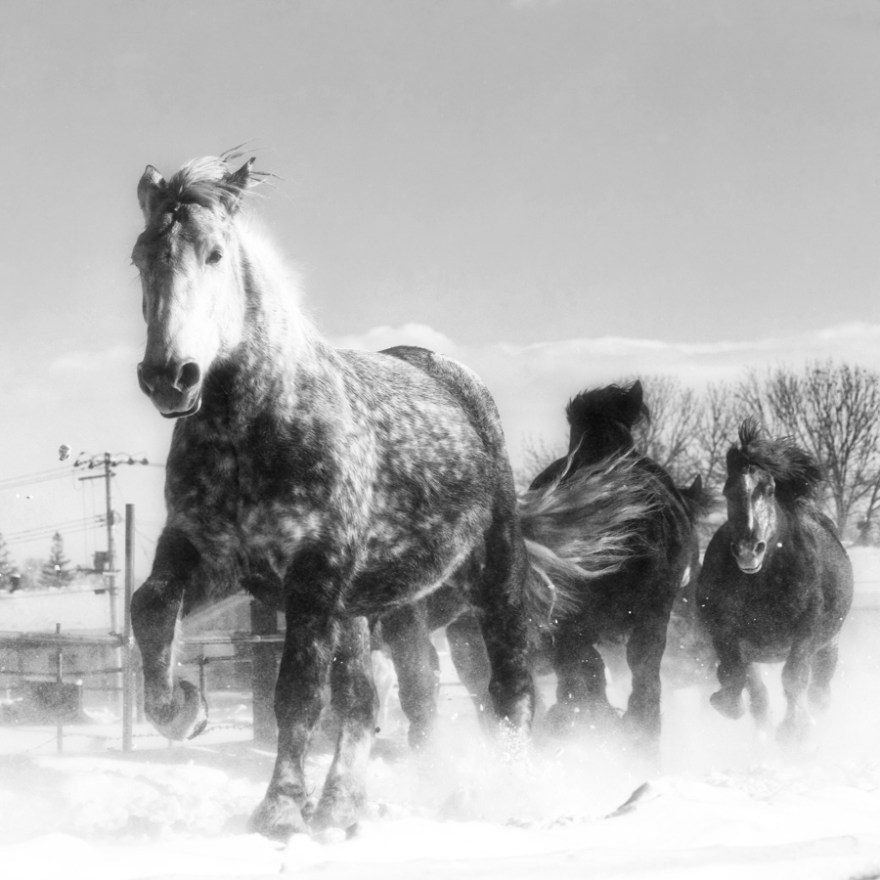 1dx_0204-1-edit-1-1-1