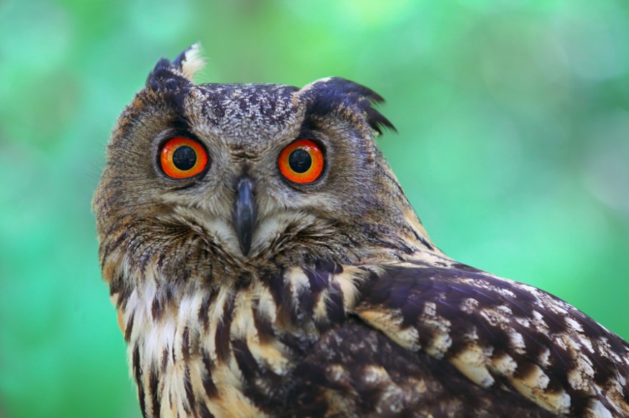 201107241d4-118-2-1-1