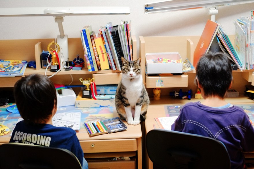 20120226xproa-24-1-edit-1-1