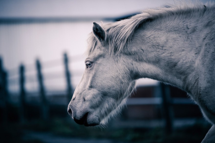 DPP_1266-1-1-1-1-2-1-1