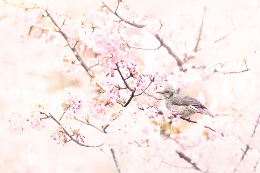 5D3_2045-2-Edit-1-1-1-1-1-1