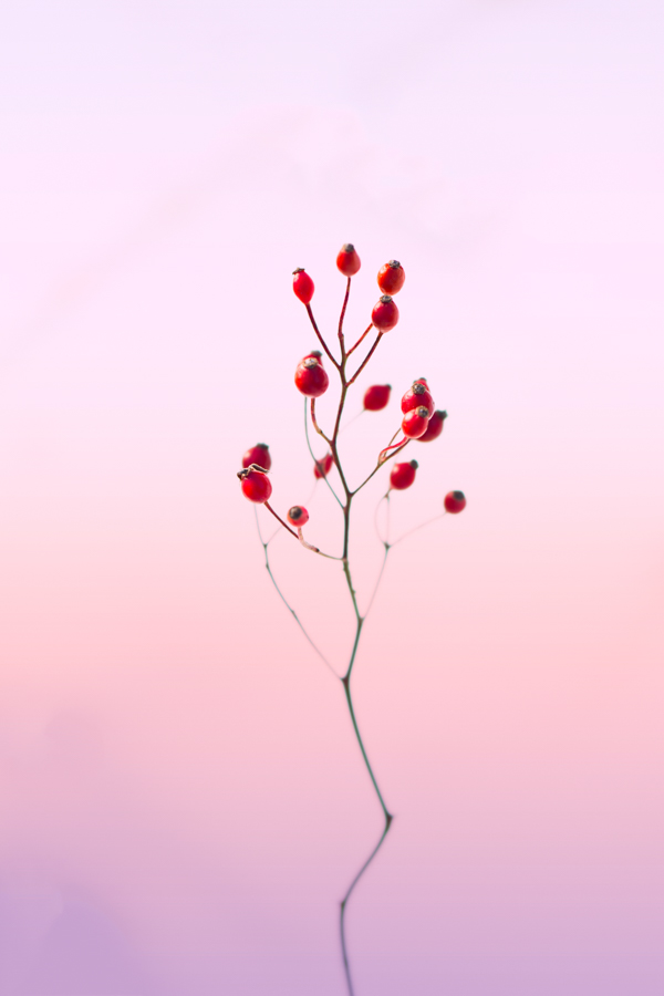 20171121-A9_05051-Edit-1-1-1