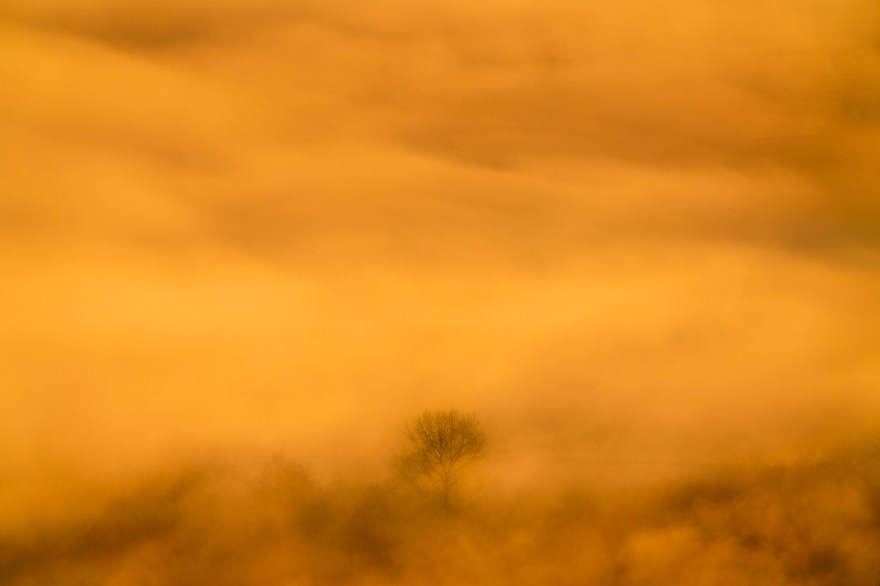 20171207-DSC00897-Edit-2-1-1-1