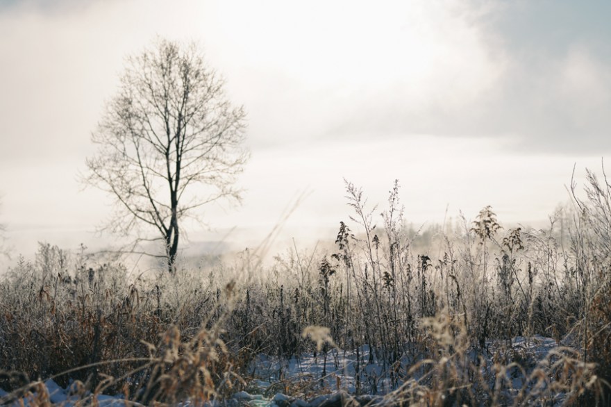 20171207-DSC00937-1-1-1