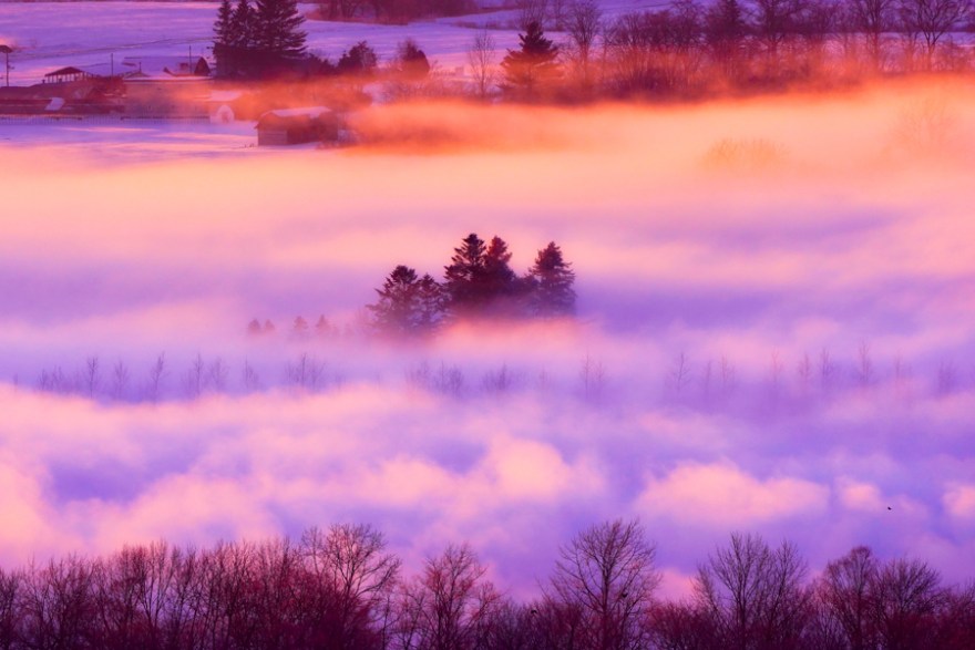 20171218-A7R02449-1-Edit-1-1