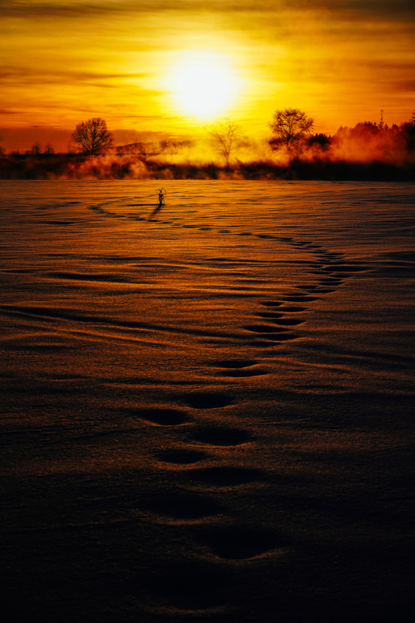 20180104-A7R04079-1-1