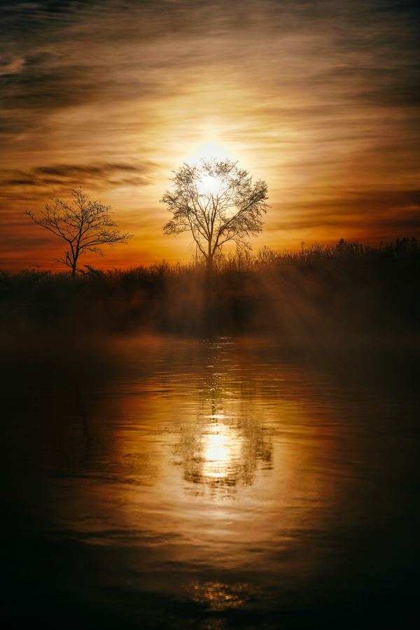 20180104-A7R04157-1-Edit-1-1-1