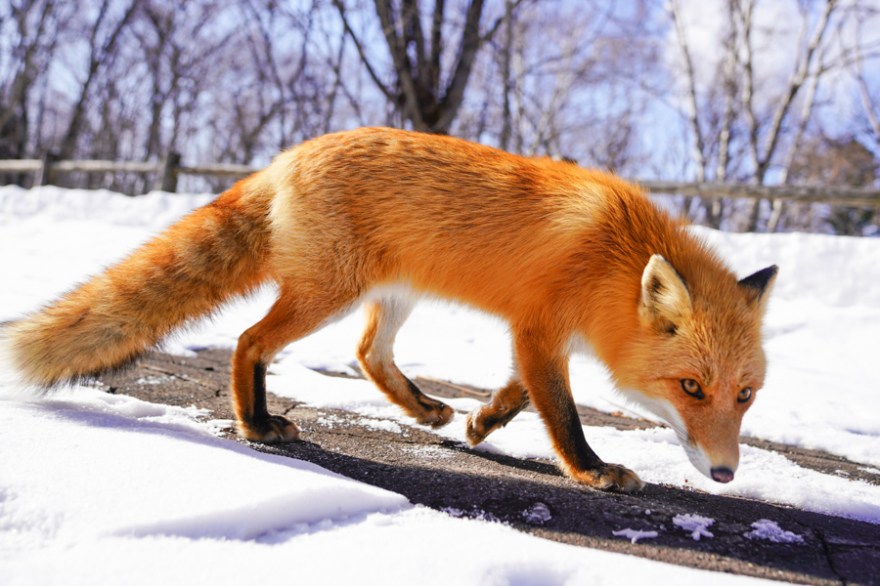 20180122-A7R09016-1-1-1