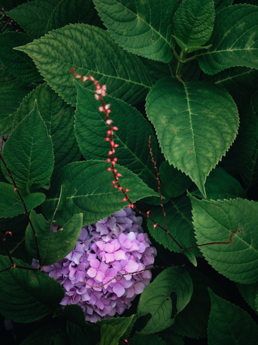 Photo taken with Focos Processed with VSCO with a6 preset