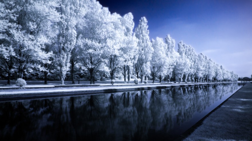 201107281d4-1-1-2-Edit-1-1-1-1-1