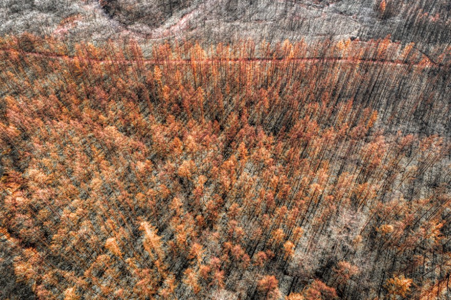 20181113-0121a-1-1-1