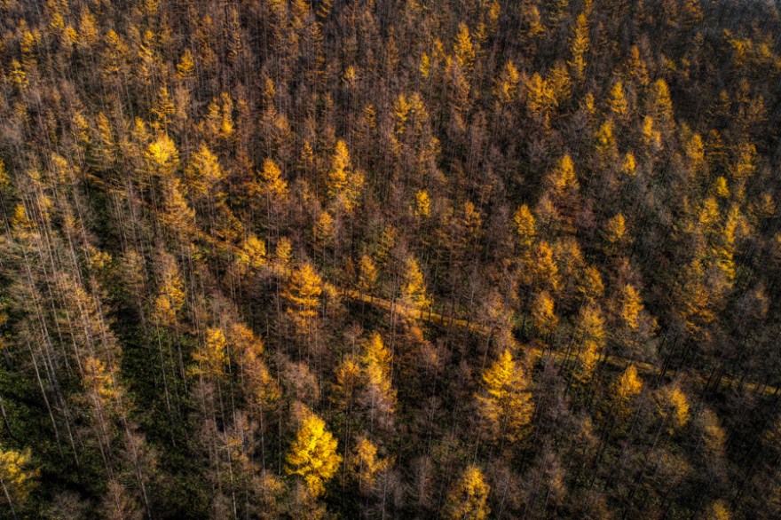 20181115-0146a-3-1-1