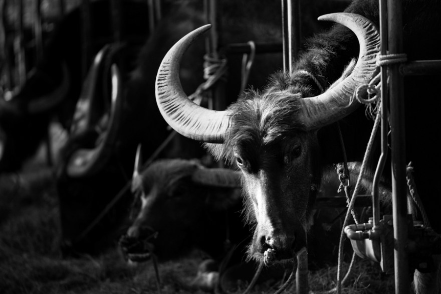 A7R05364-Edit-1-1-1-1