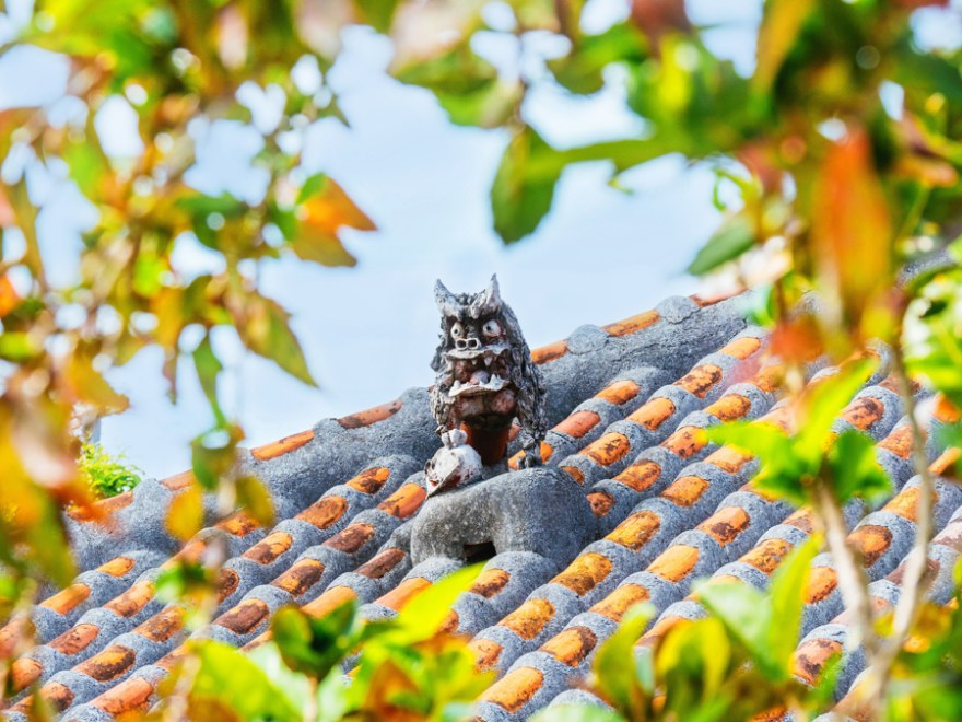 EM2A3975-1-Edit-Edit-1new-1-1