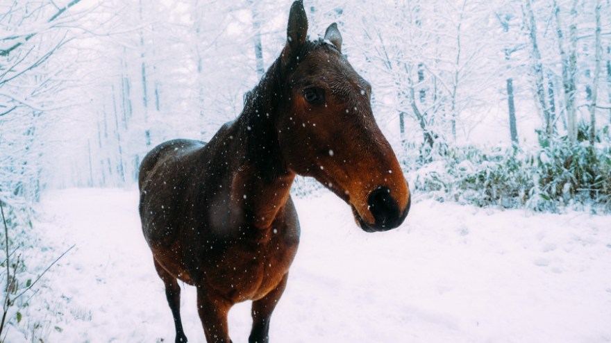 EM160704-Edit-1new-1-1