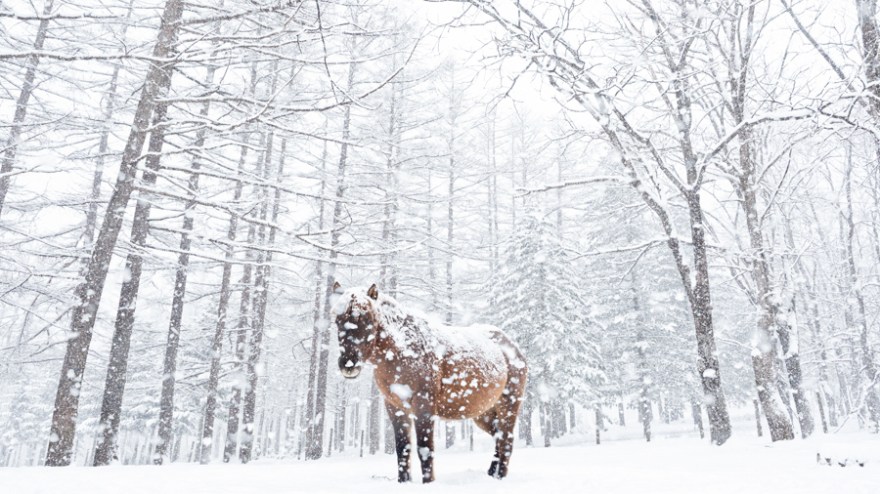 EM191615-Edit-1new-Edit-1-1-1-1