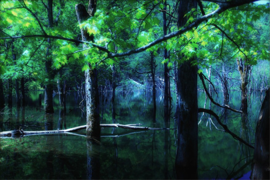 Re-静けさの中で-1-Edit-1-1