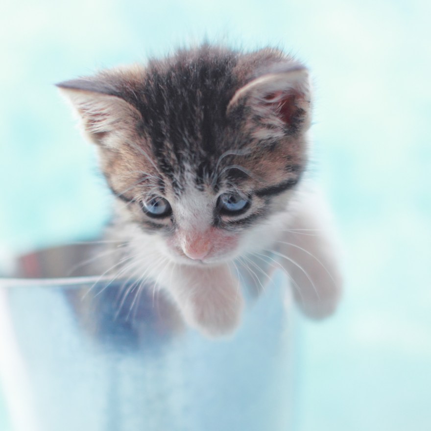 DPP_05526-1-Edit-1-1-1