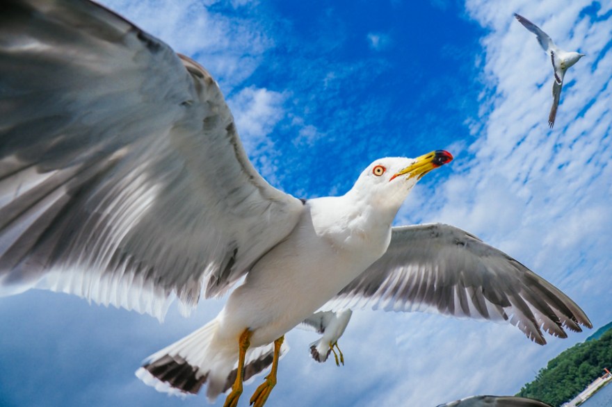 20170720-em2a4002-1new-1-1