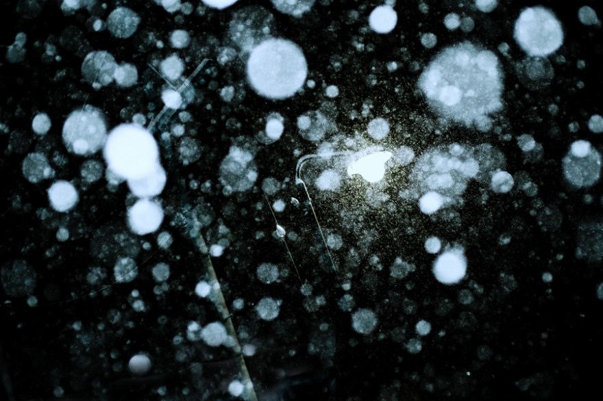 dpp_06532-1-edit-1-1-1-1